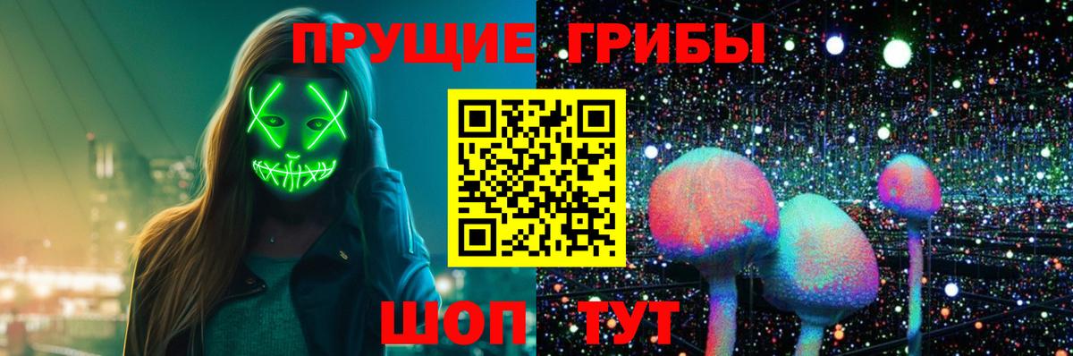 Таганрог  Псилоцибиновые грибы мицелий  Галлюциногенные грибы прущие грибы  Вход с VPN 