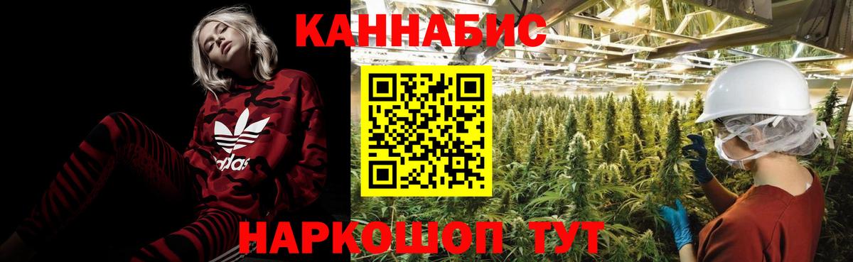 Бошки Шишки Amnesia  Канабис марихуана  Шишки марихуана THC 21%  Таганрог  Вход с VPN 